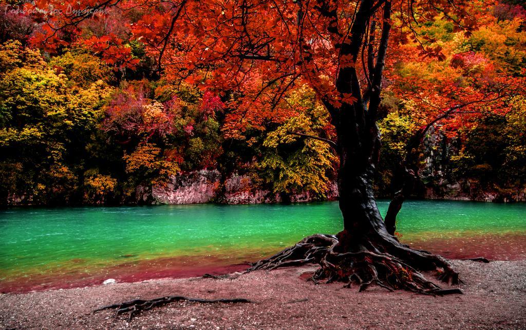 Papaevangelou Hotel パピンゴ エクステリア 写真